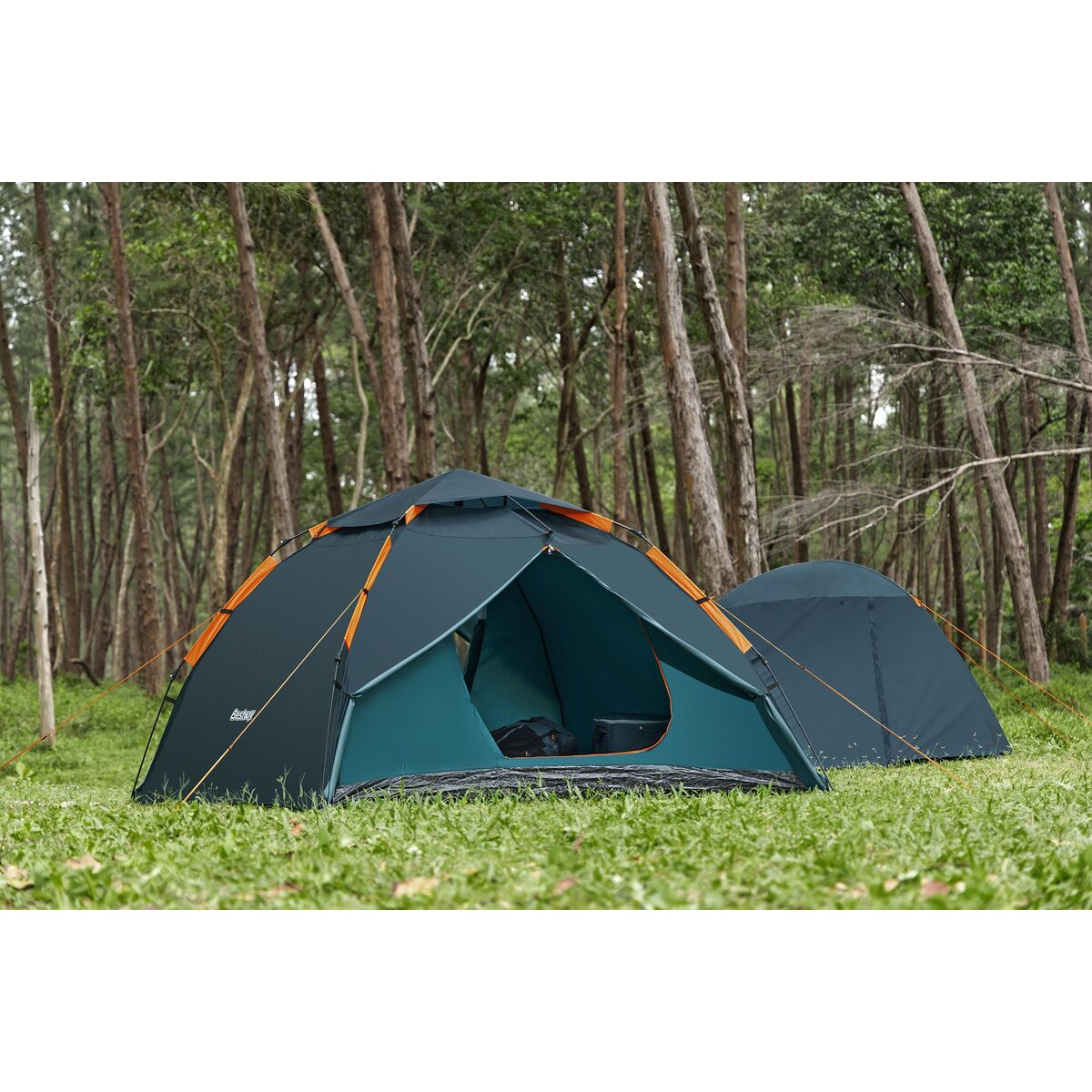 V6H050B3ED5A1AB10953801695DCA8DDB72R5548801P4